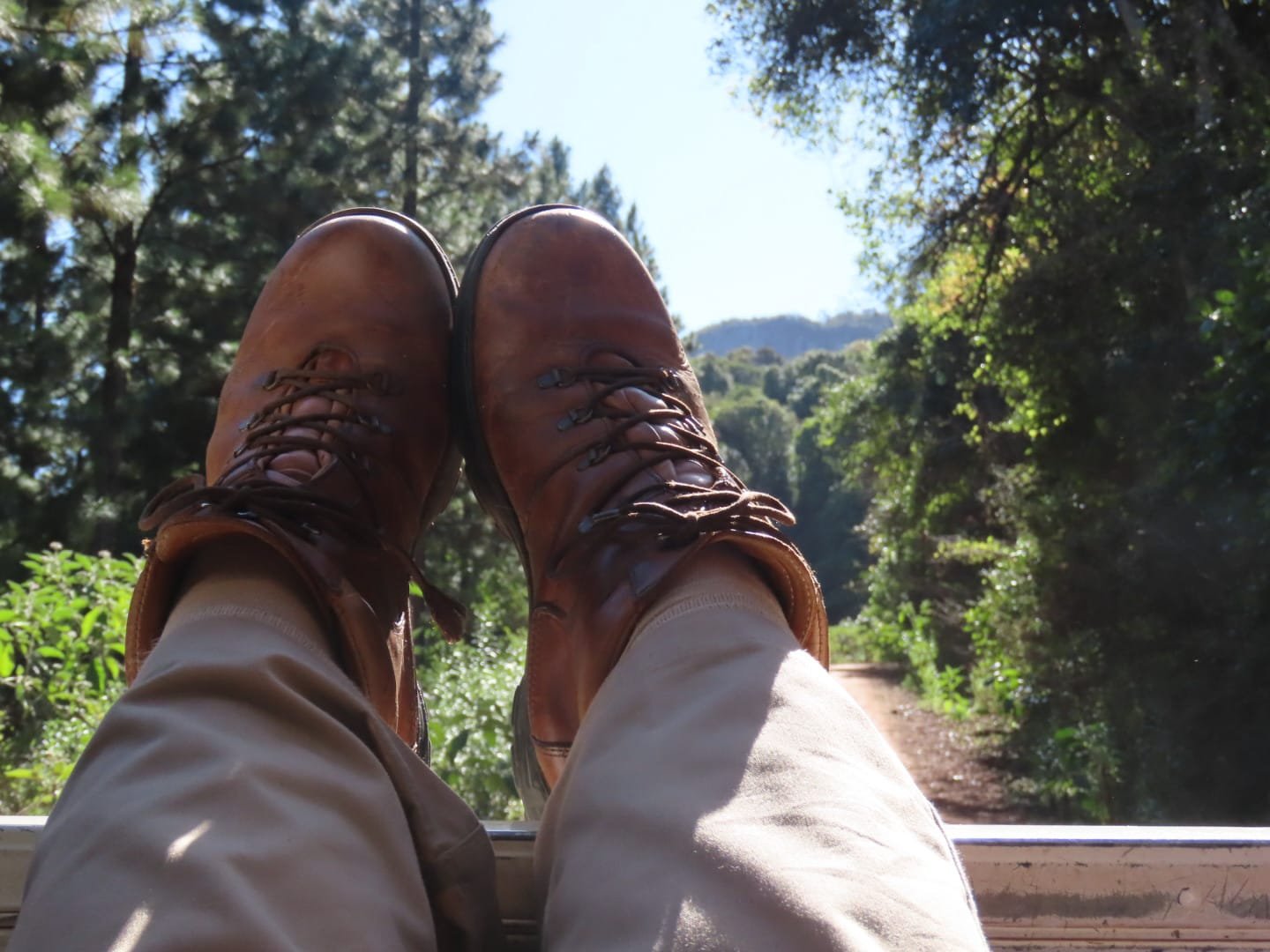 WhatsApp Image 2025-08-13 at 13.28.20