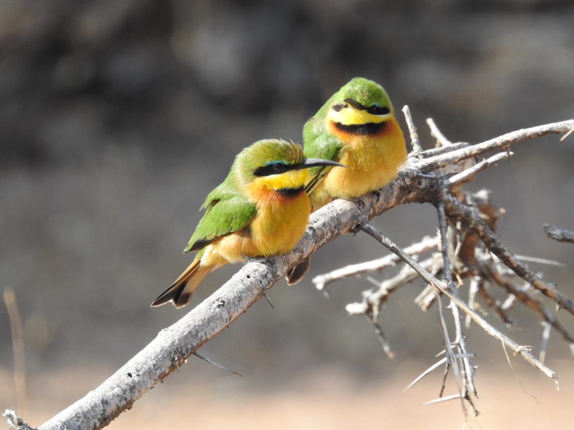 WhatsApp Image 2025-08-13 at 13.28.27