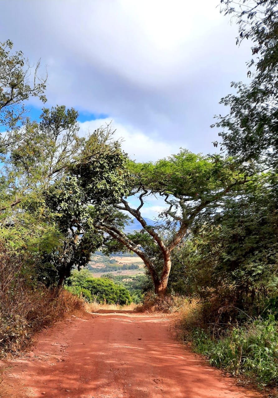 WhatsApp Image 2025-08-13 at 13.28.31