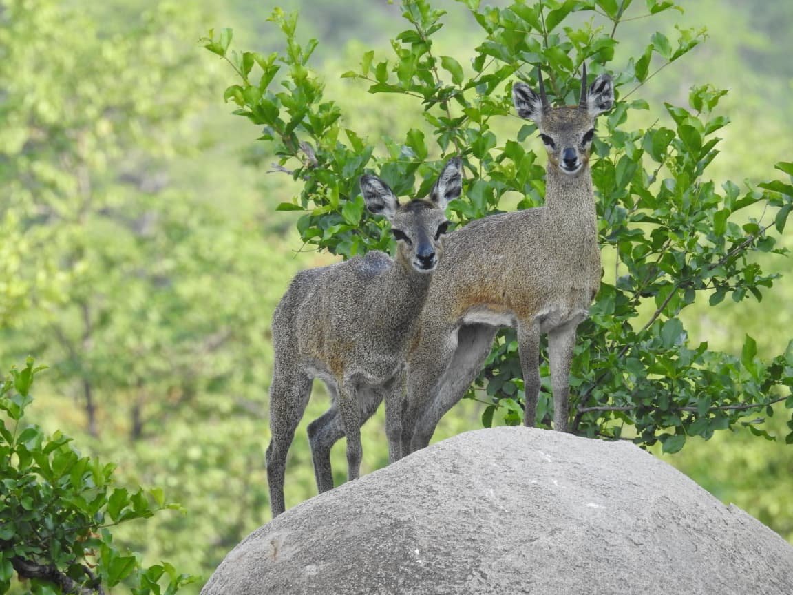 WhatsApp Image 2025-08-13 at 13.28.35