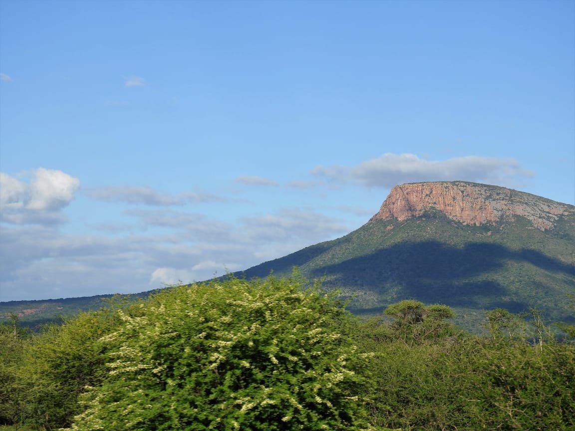 WhatsApp Image 2025-08-13 at 14.00.43