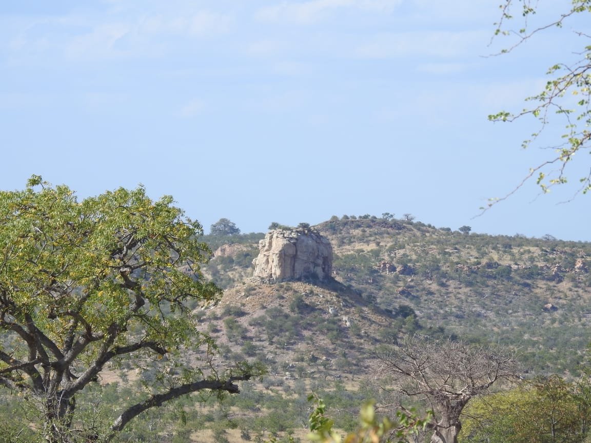 WhatsApp Image 2025-08-13 at 14.00.45