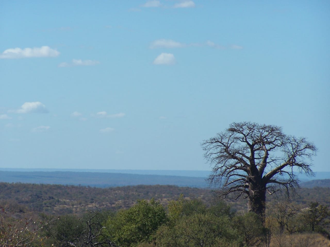 WhatsApp Image 2025-08-13 at 14.00.48