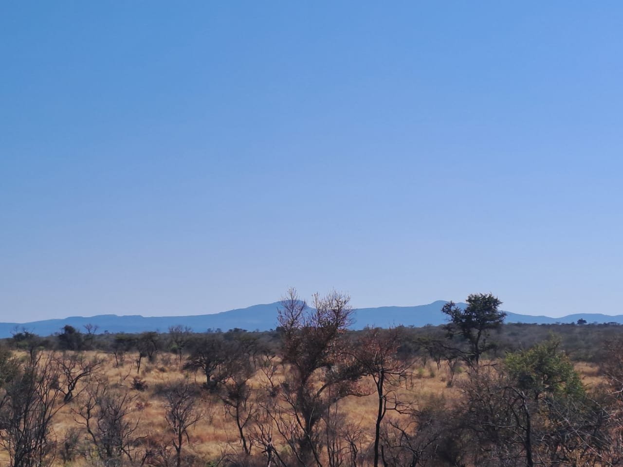 WhatsApp Image 2025-08-13 at 15.39.38