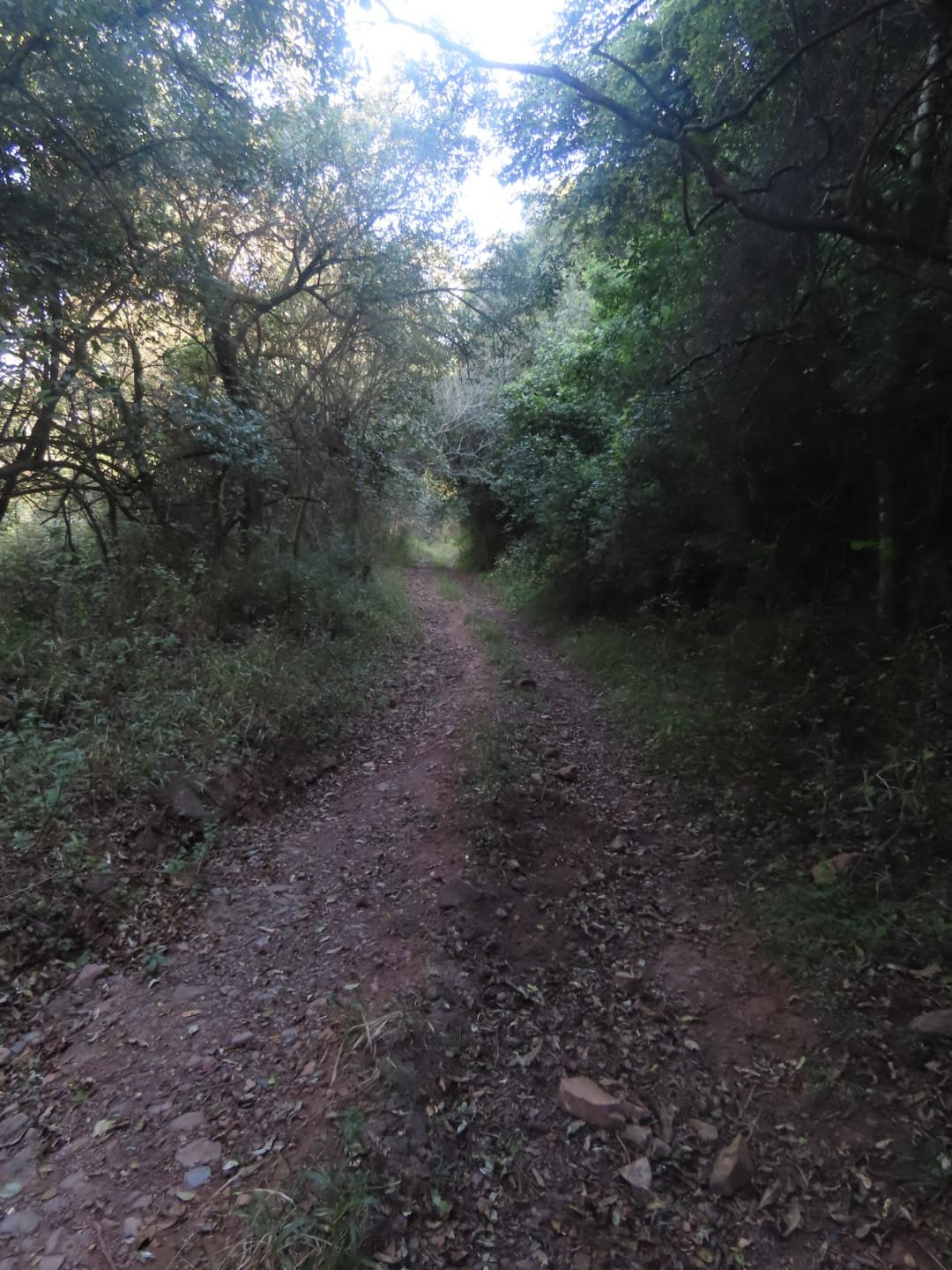 WhatsApp Image 2025-08-13 at 15.39.40