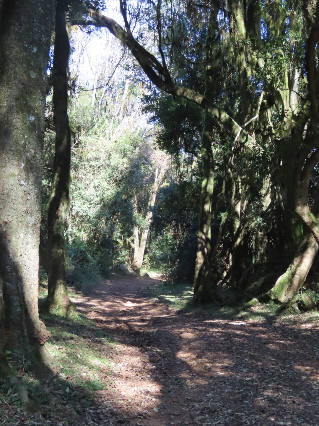 WhatsApp Image 2025-08-13 at 15.39.41