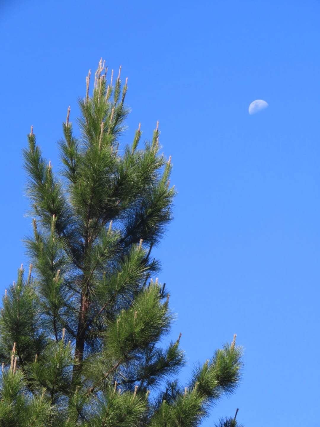 WhatsApp Image 2025-08-13 at 15.39.43