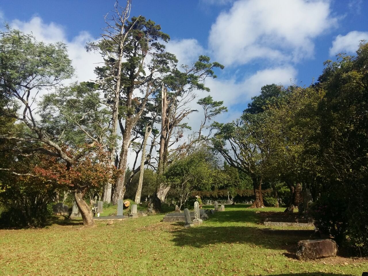 WhatsApp Image 2025-08-13 at 17.30.02