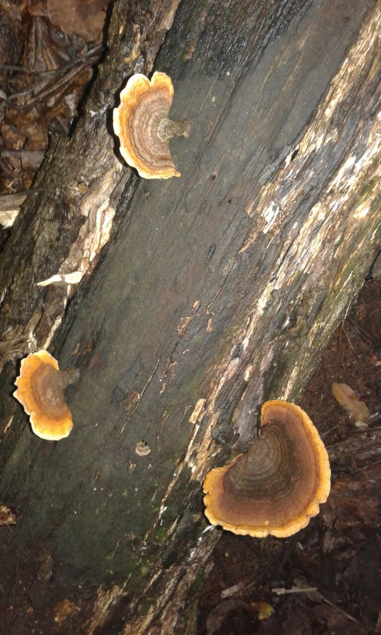 WhatsApp Image 2025-08-13 at 17.30.05