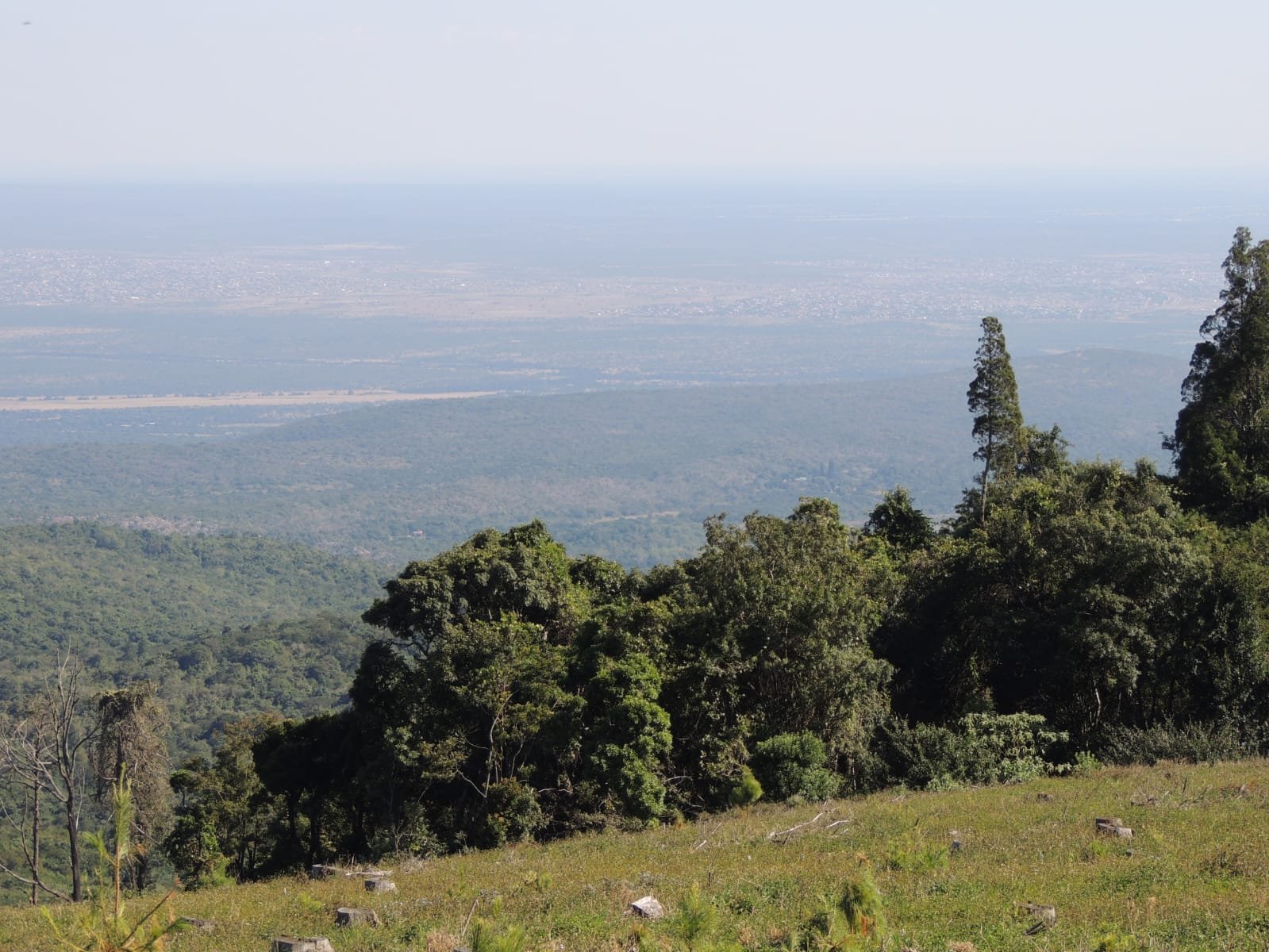 WhatsApp Image 2025-08-13 at 17.30.19