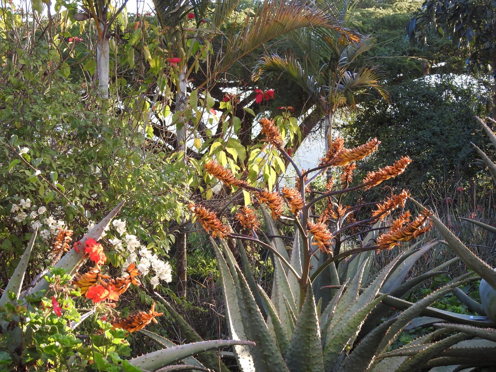 WhatsApp Image 2025-08-13 at 17.30.40