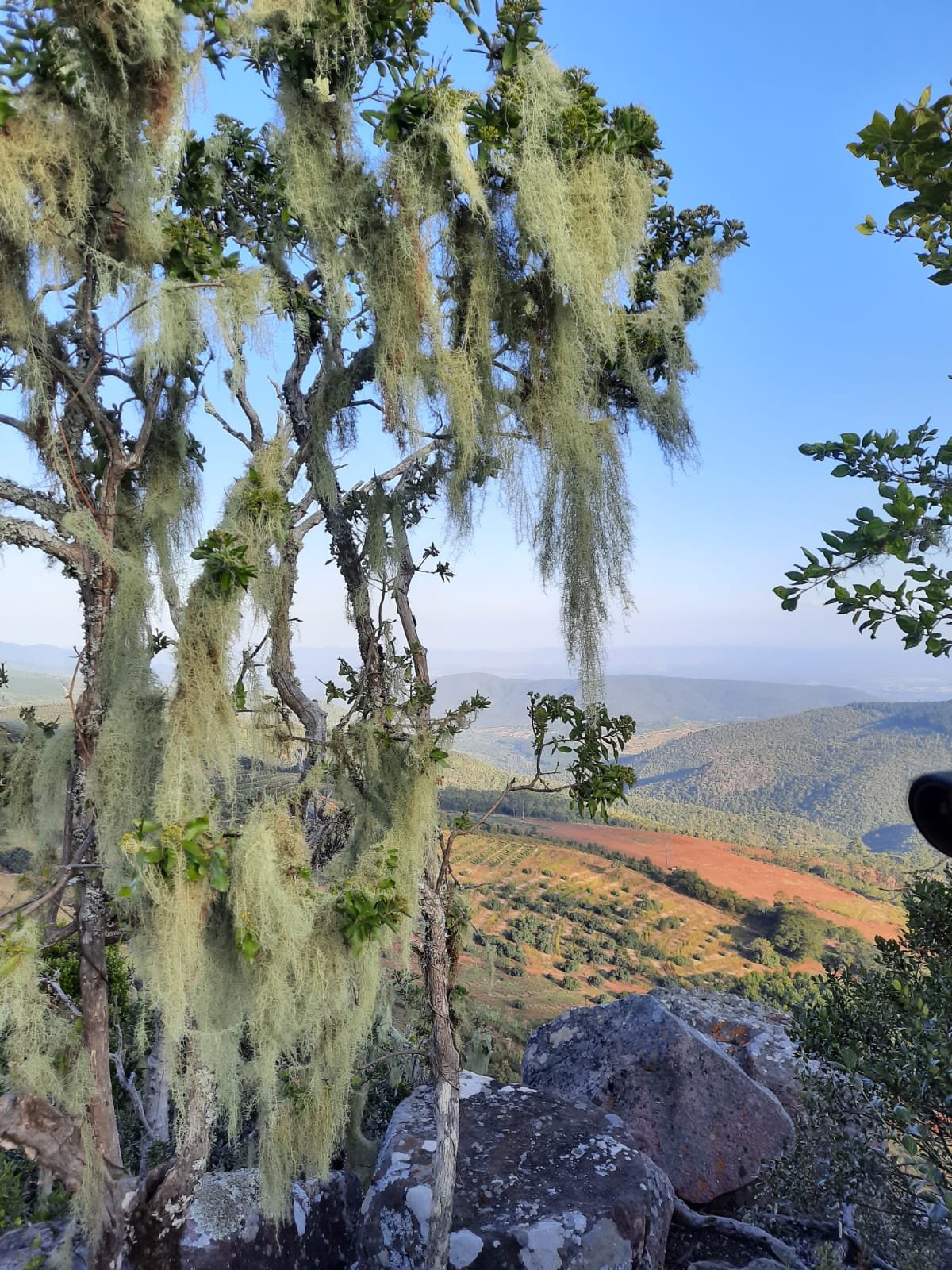 WhatsApp Image 2025-08-13 at 17.30.42