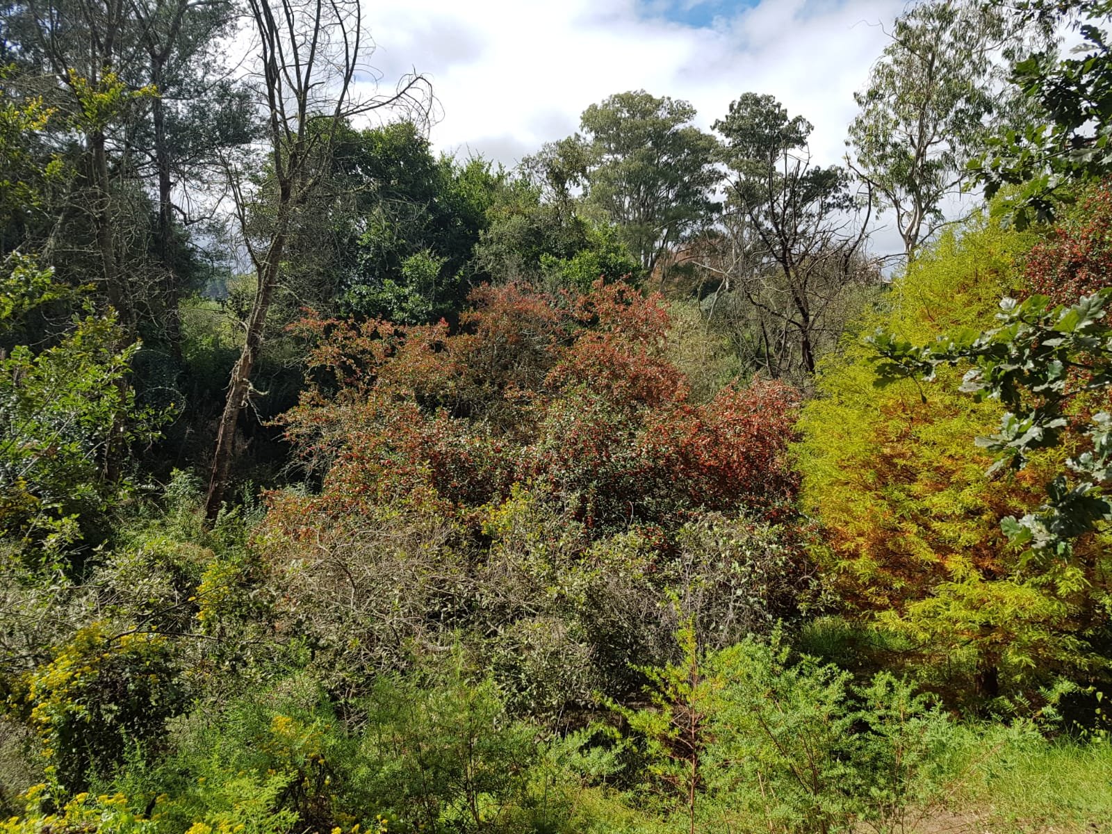 WhatsApp Image 2025-08-13 at 17.30.49