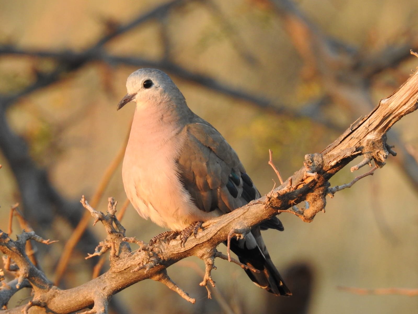 WhatsApp Image 2025-08-14 at 08.37.03