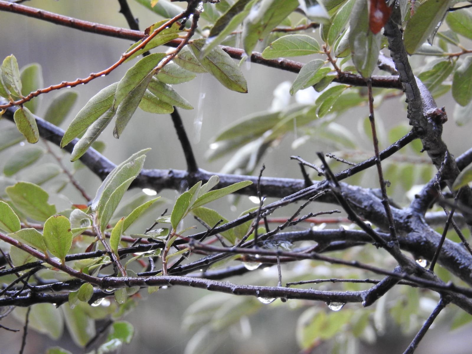 WhatsApp Image 2025-08-14 at 08.37.34