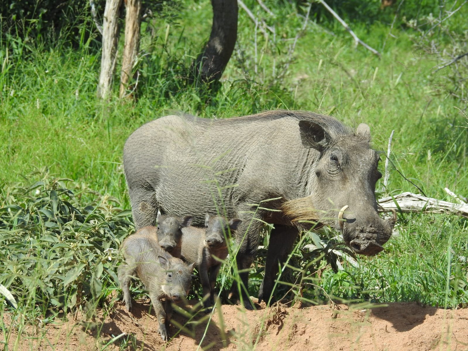 WhatsApp Image 2025-08-14 at 08.37.37