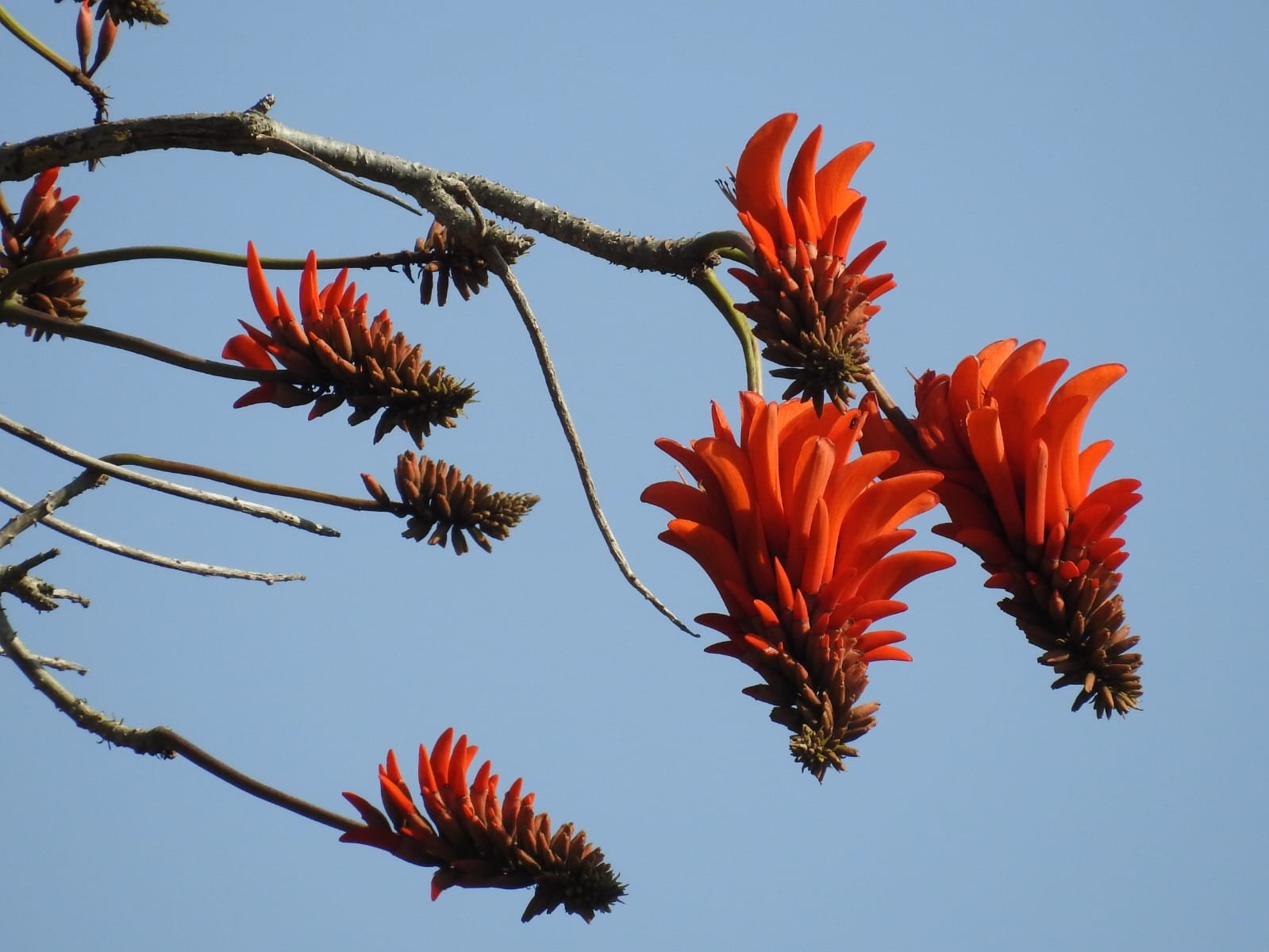 WhatsApp Image 2025-08-14 at 08.37.45