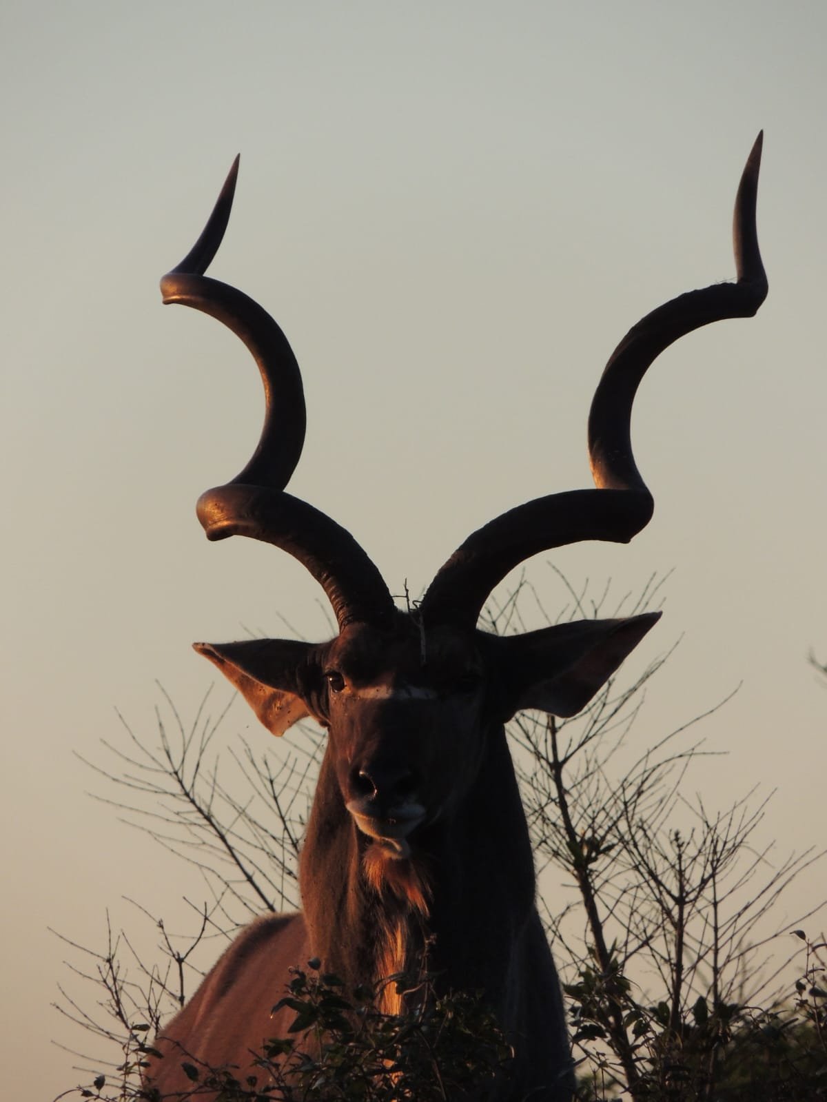 WhatsApp Image 2025-08-14 at 08.37.52