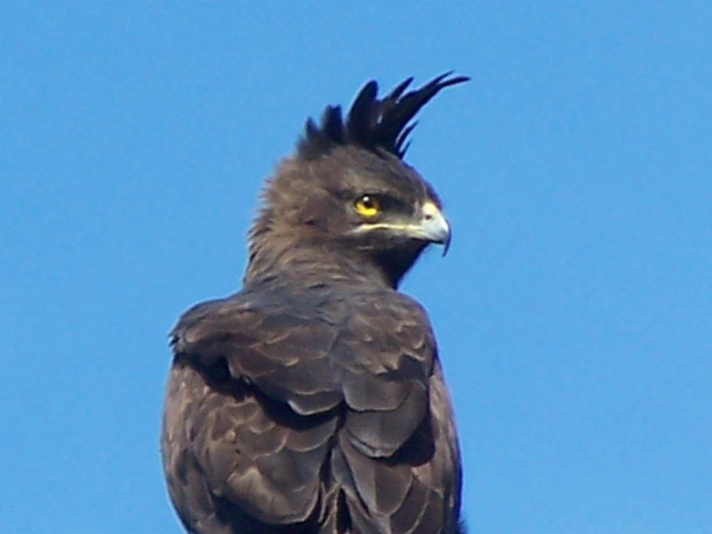 WhatsApp Image 2025-08-14 at 08.37.54