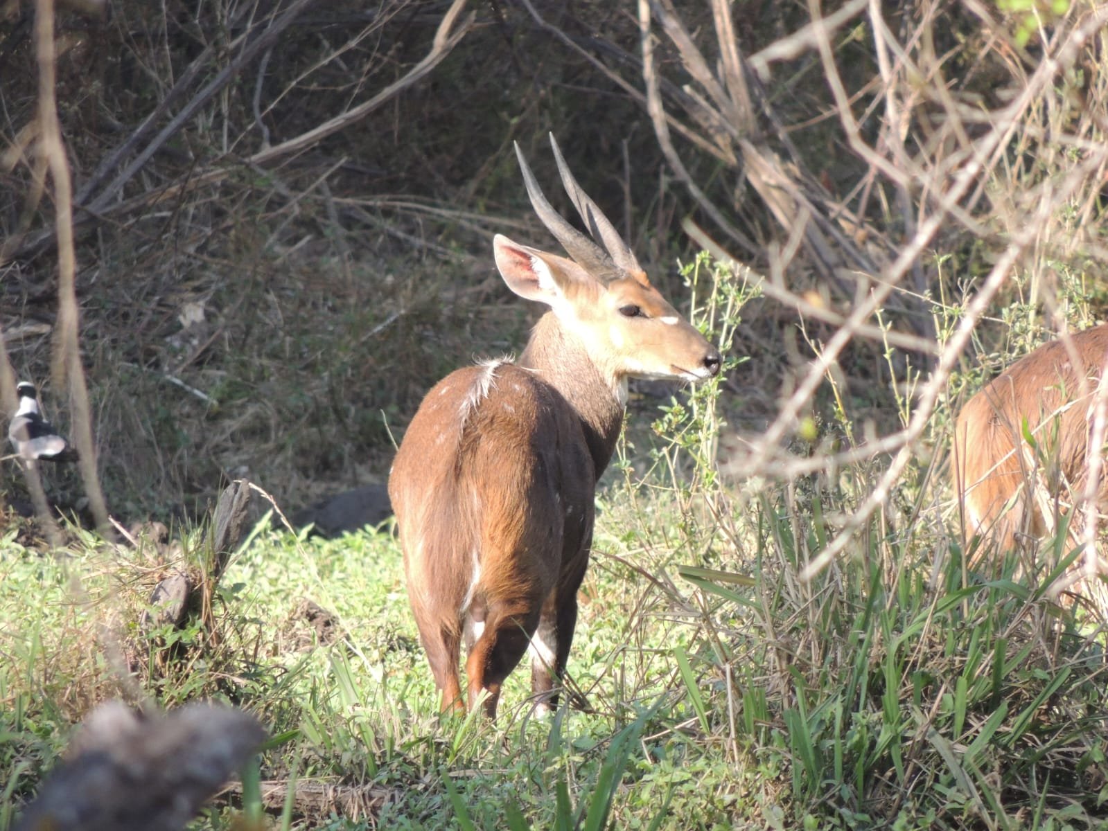 WhatsApp Image 2025-08-14 at 08.37.57