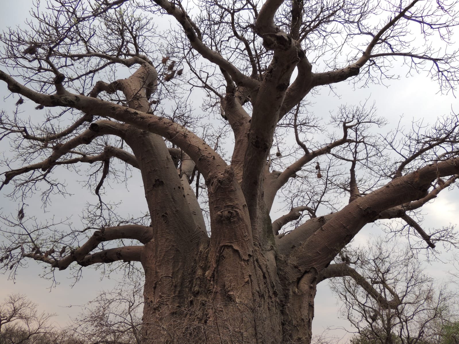 WhatsApp Image 2025-08-14 at 08.38.02