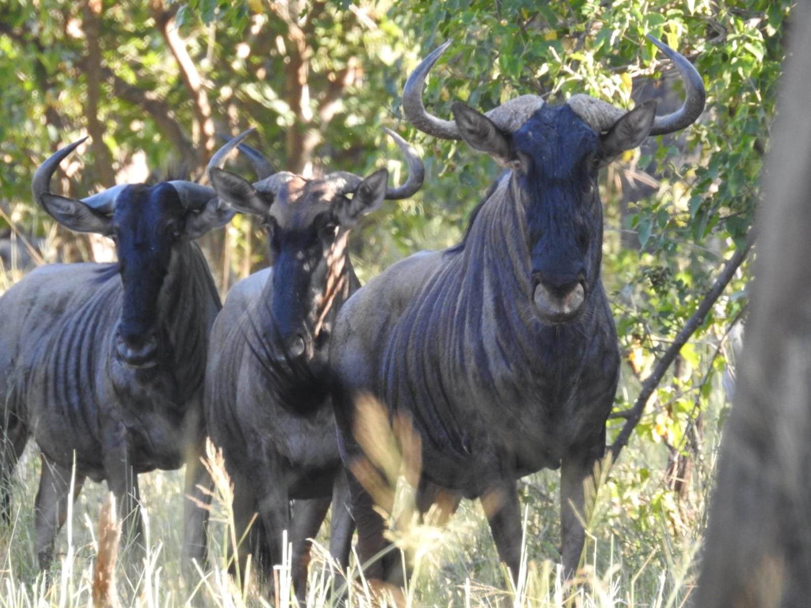 WhatsApp Image 2025-08-14 at 09.00.20