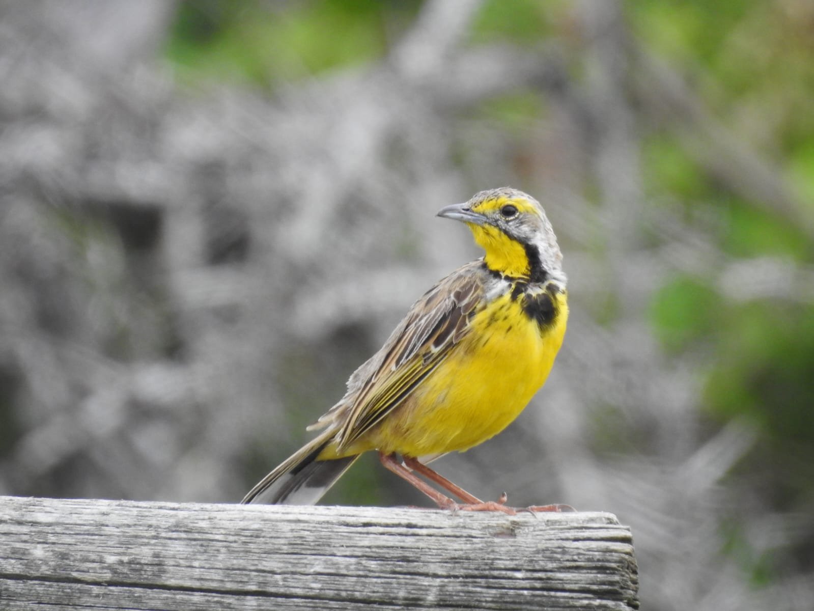 WhatsApp Image 2025-08-14 at 09.00.23