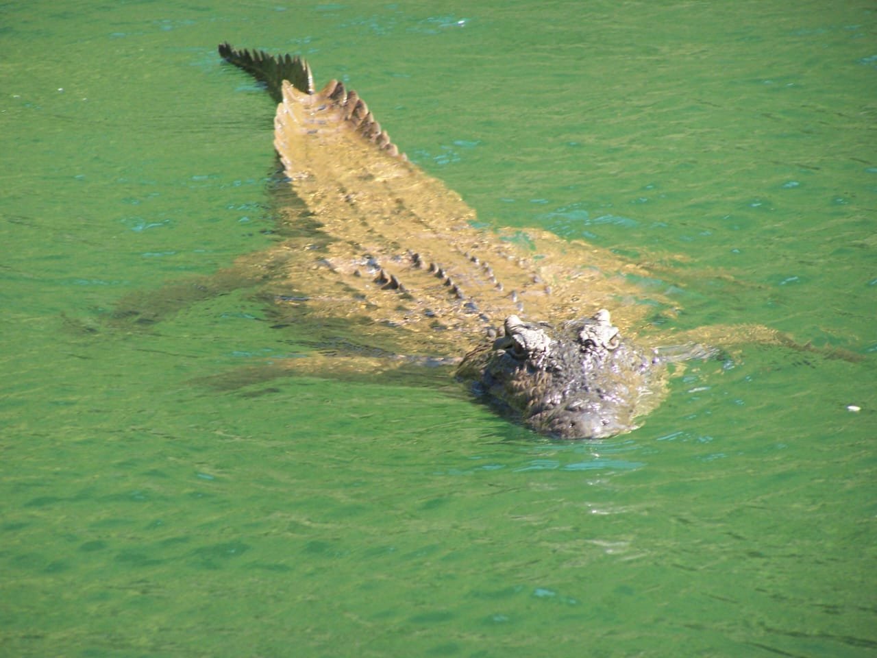 WhatsApp Image 2025-08-14 at 09.21.08