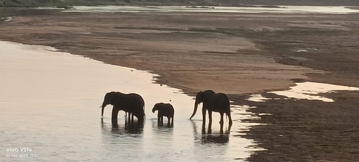 WhatsApp Image 2025-08-14 at 09.21.11