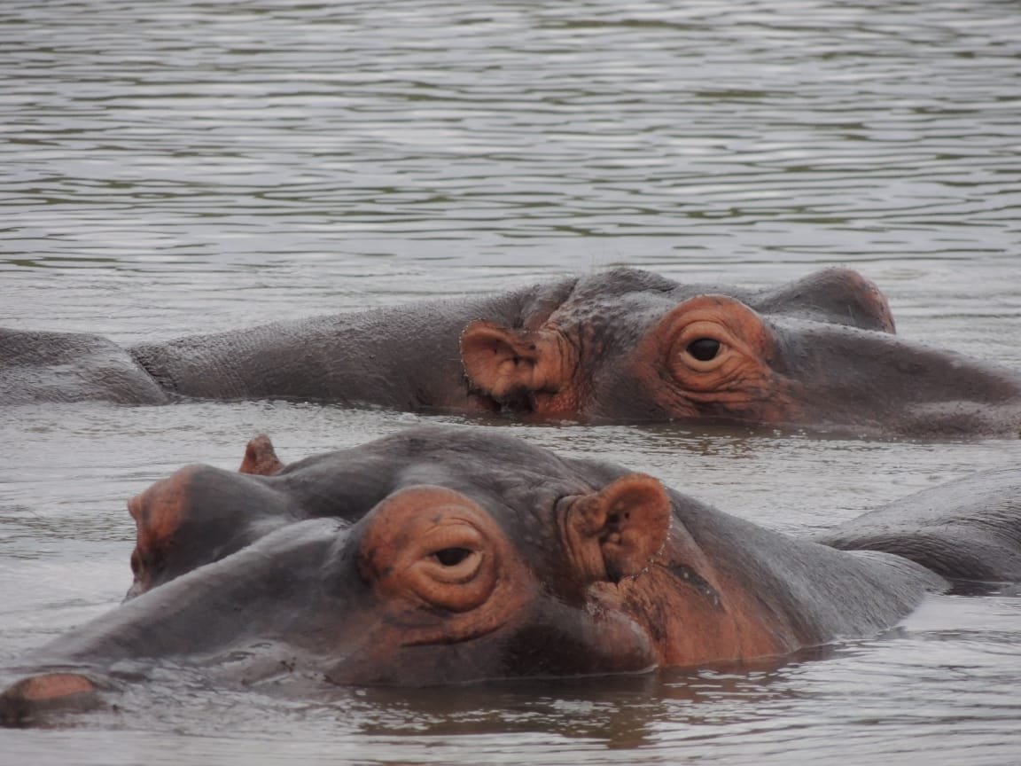 WhatsApp Image 2025-08-14 at 09.21.13