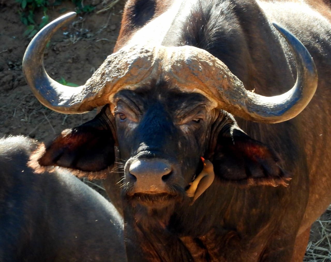 WhatsApp Image 2025-08-14 at 09.21.15