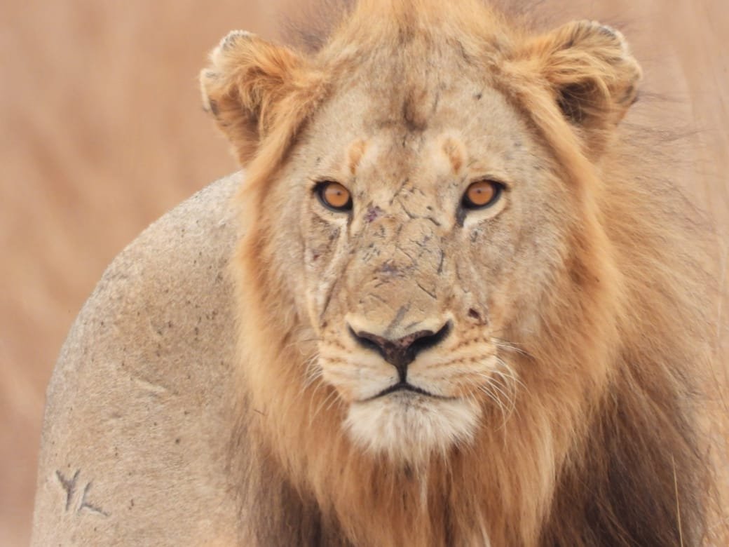 WhatsApp Image 2025-08-14 at 09.21.17