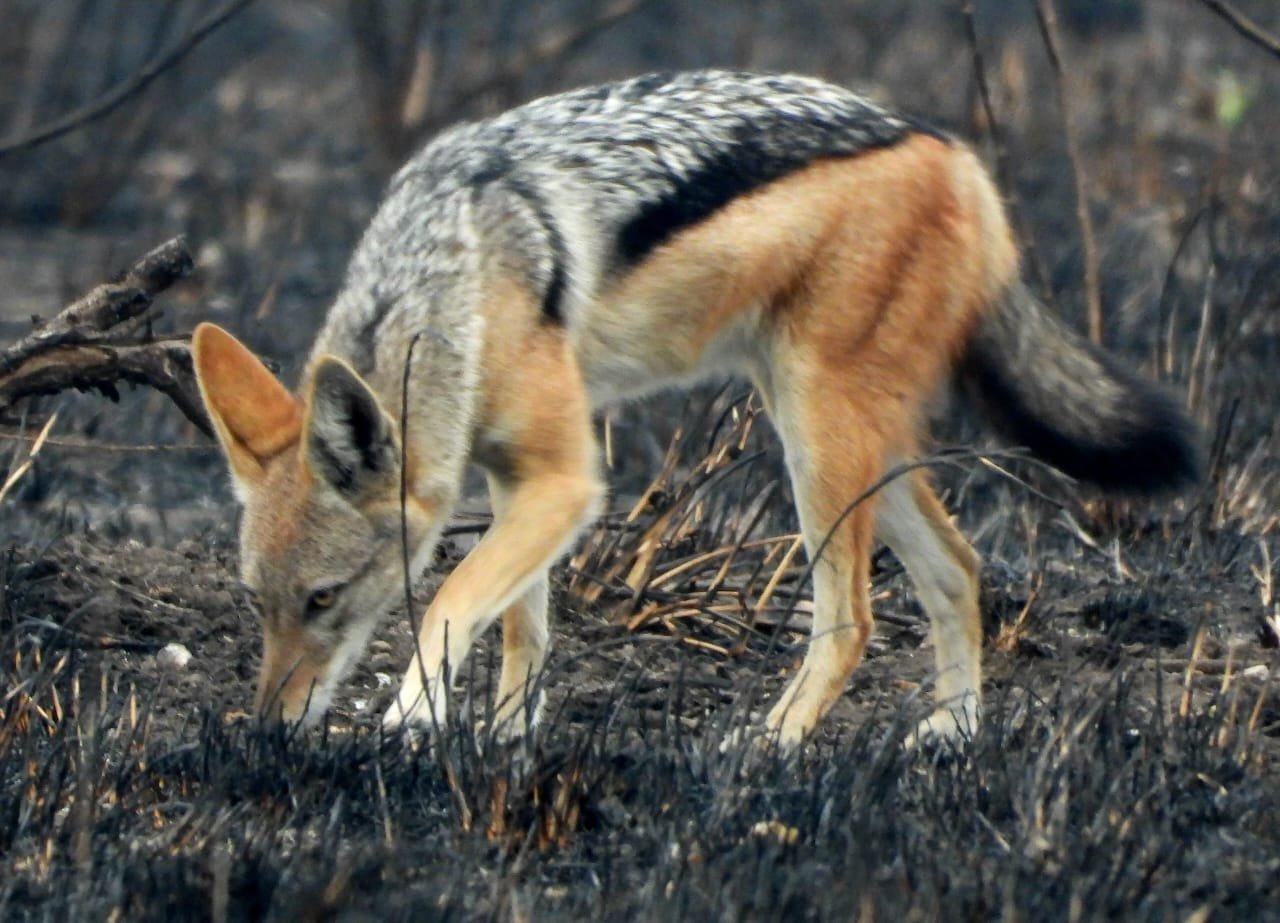 WhatsApp Image 2025-08-14 at 09.21.18