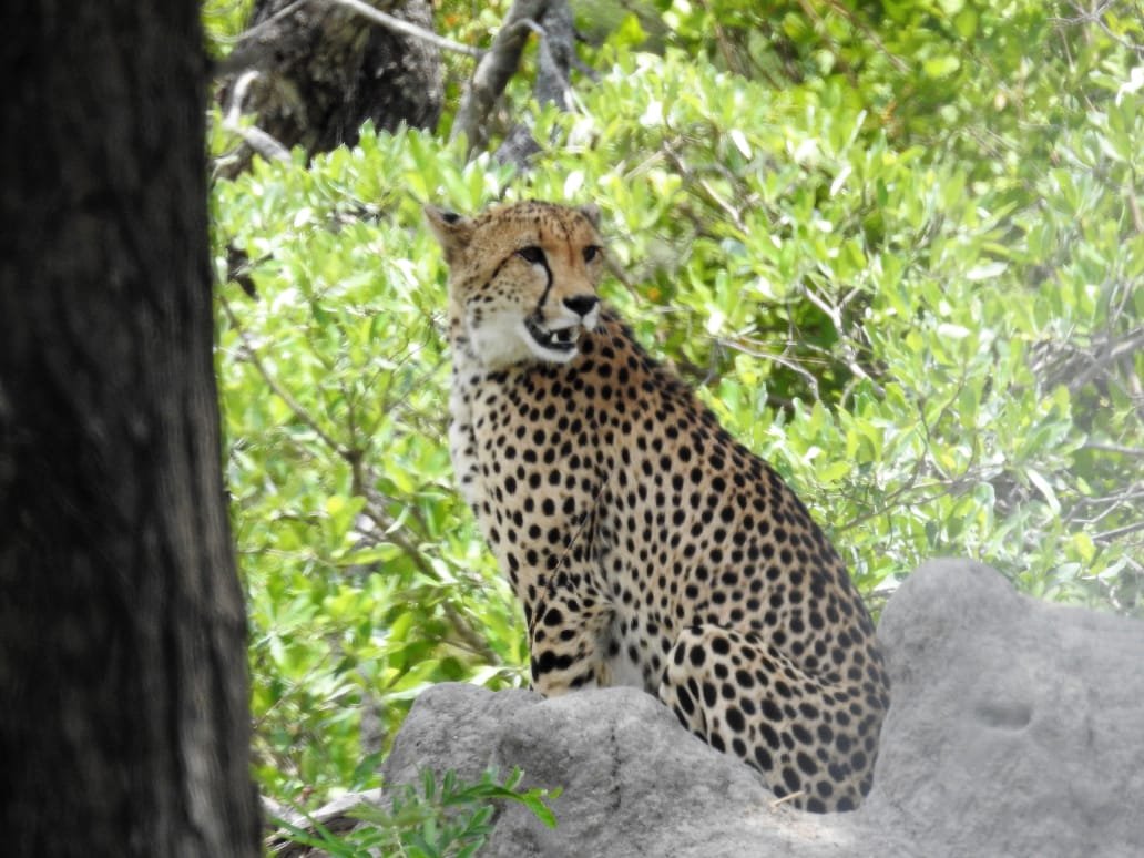 WhatsApp Image 2025-08-14 at 09.21.20