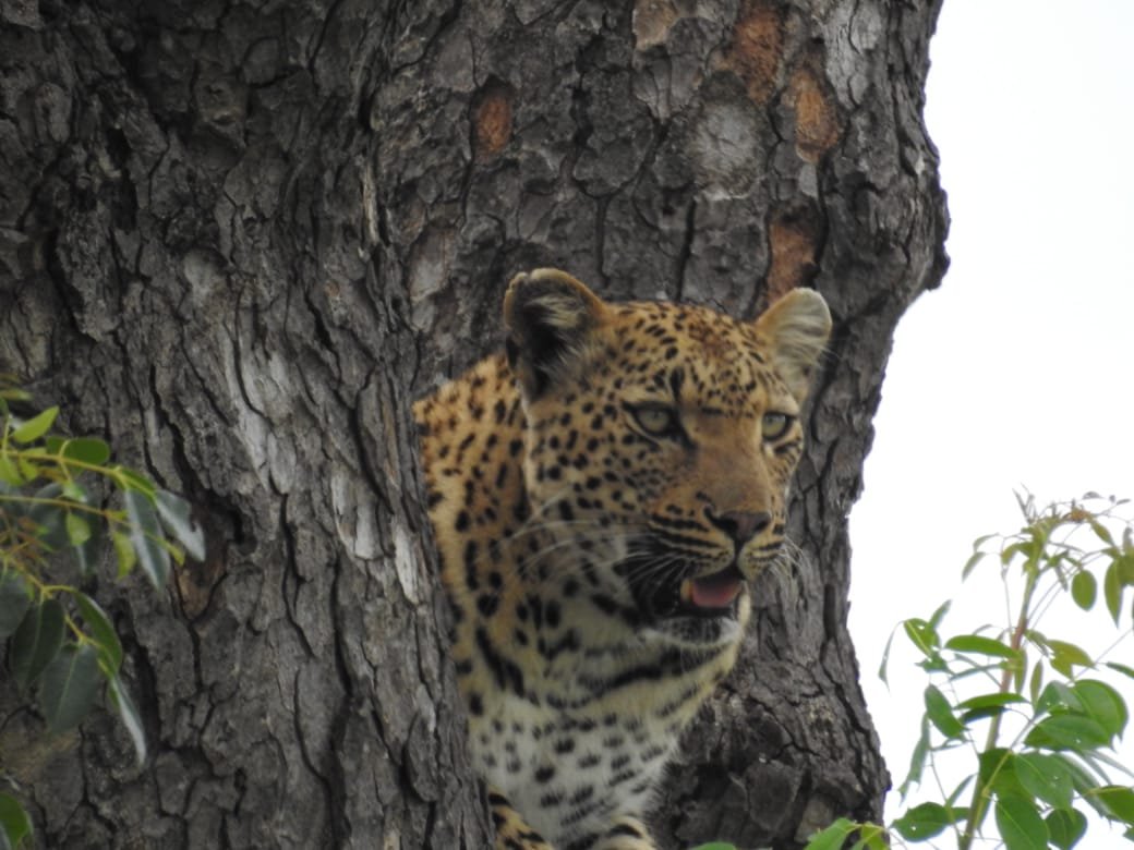 WhatsApp Image 2025-08-14 at 09.21.22