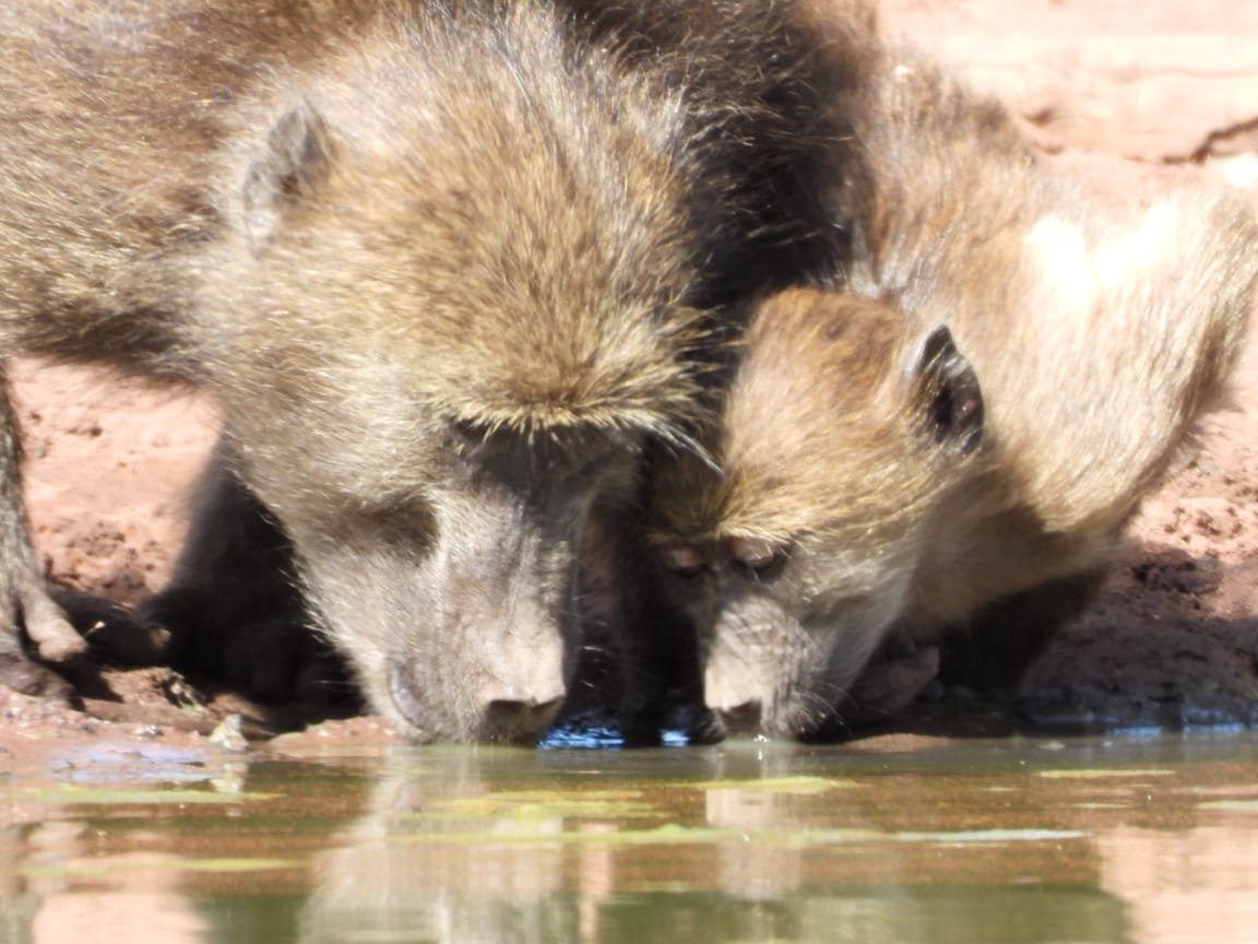 WhatsApp Image 2025-08-14 at 09.21.24