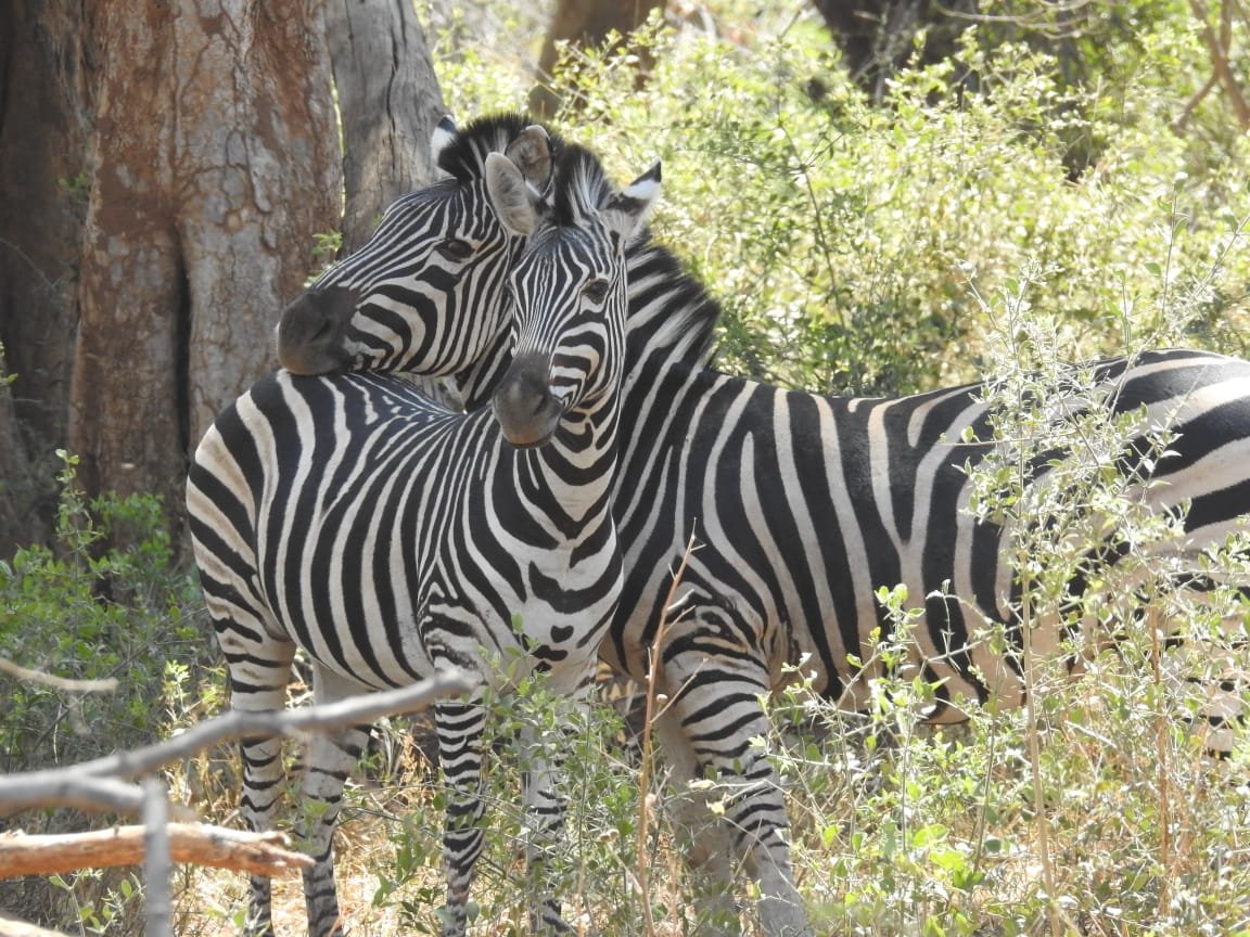 WhatsApp Image 2025-08-14 at 09.23.13