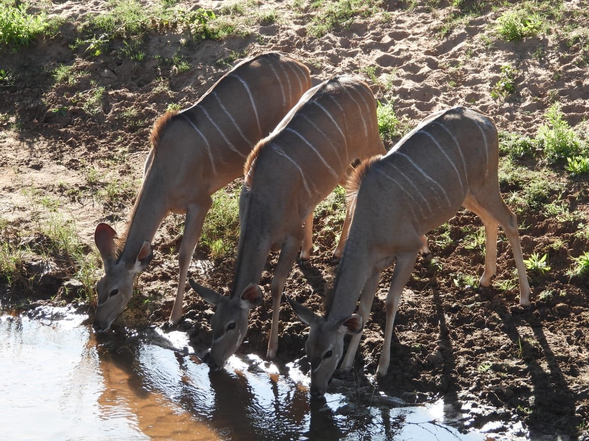 WhatsApp Image 2025-08-14 at 09.23.17