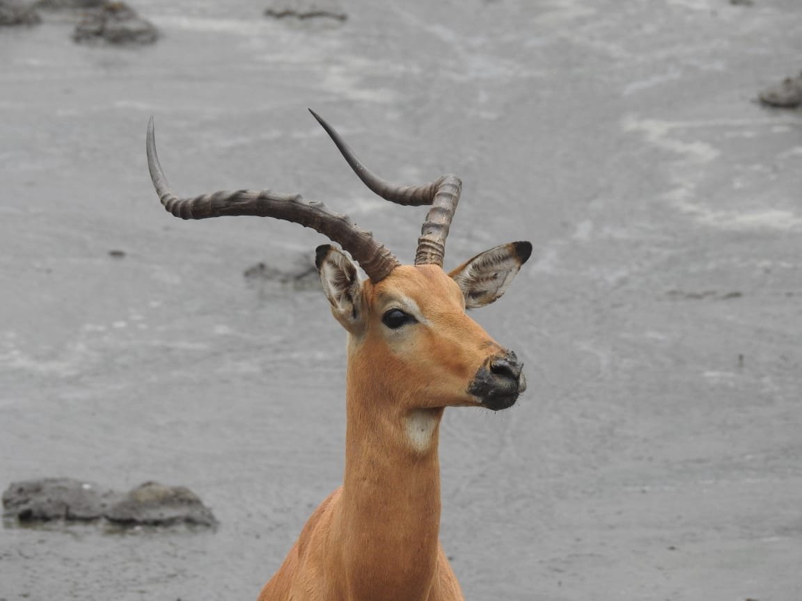 WhatsApp Image 2025-08-14 at 09.23.20