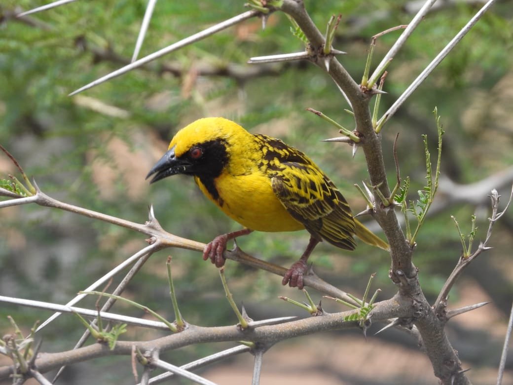 WhatsApp Image 2025-08-14 at 09.26.41