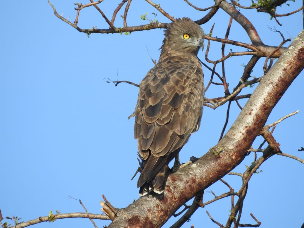 WhatsApp Image 2025-08-14 at 09.26.43