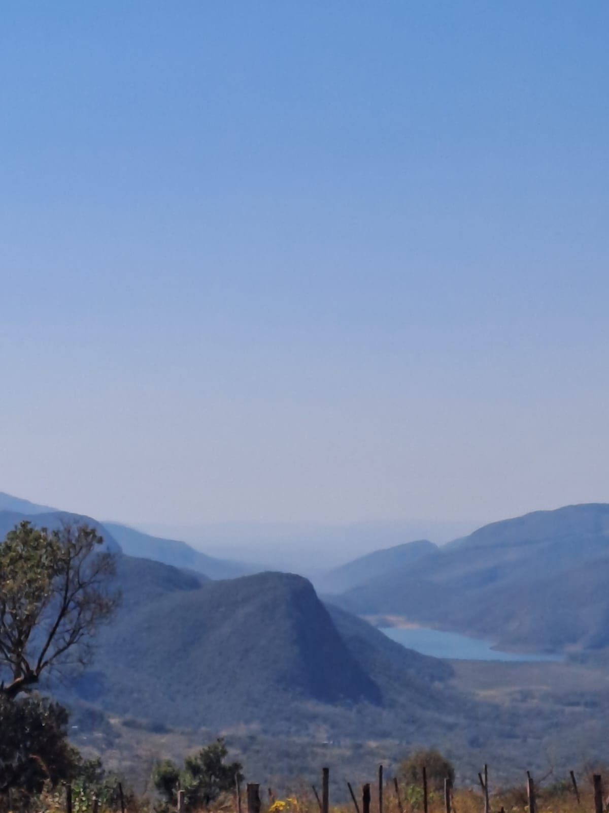 WhatsApp Image 2025-08-15 at 16.51.33