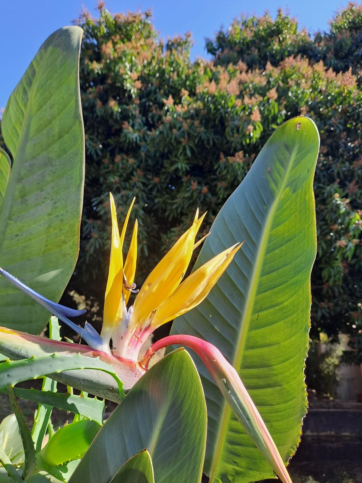 WhatsApp Image 2025-08-15 at 16.51.34 (1)