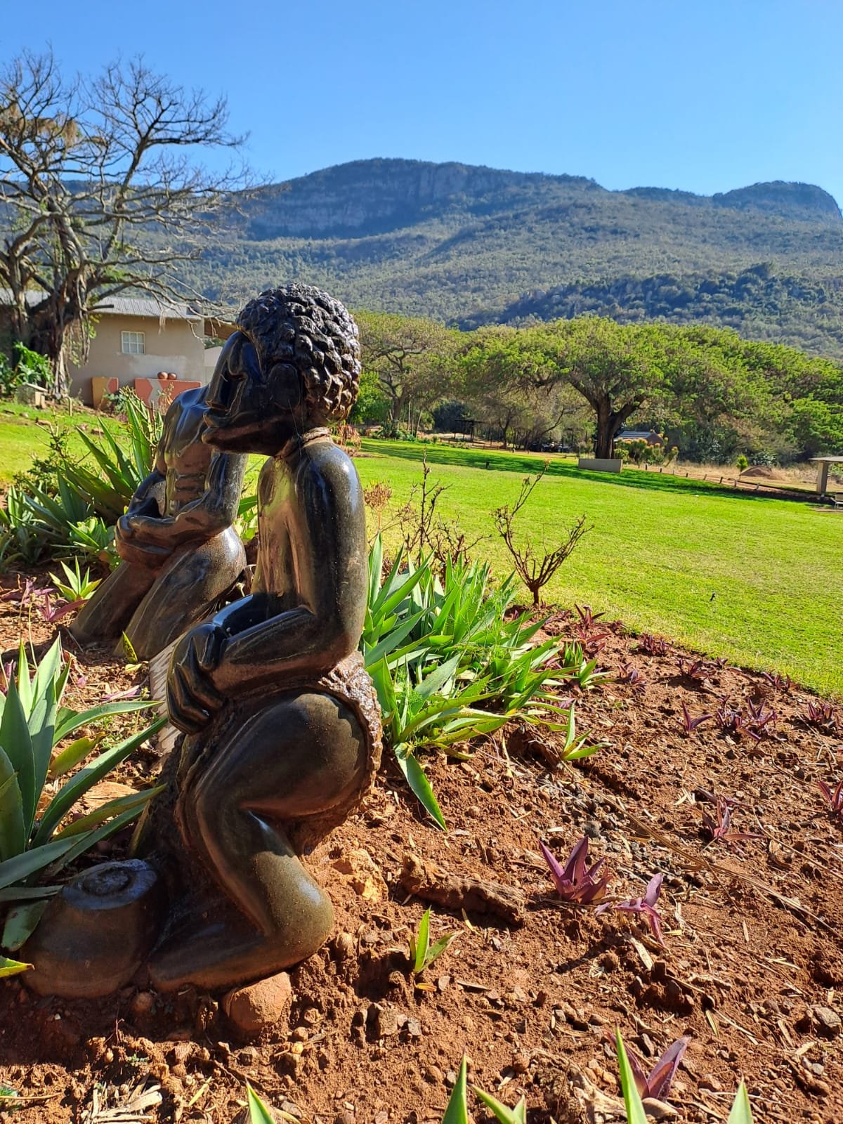 WhatsApp Image 2025-08-15 at 16.51.36