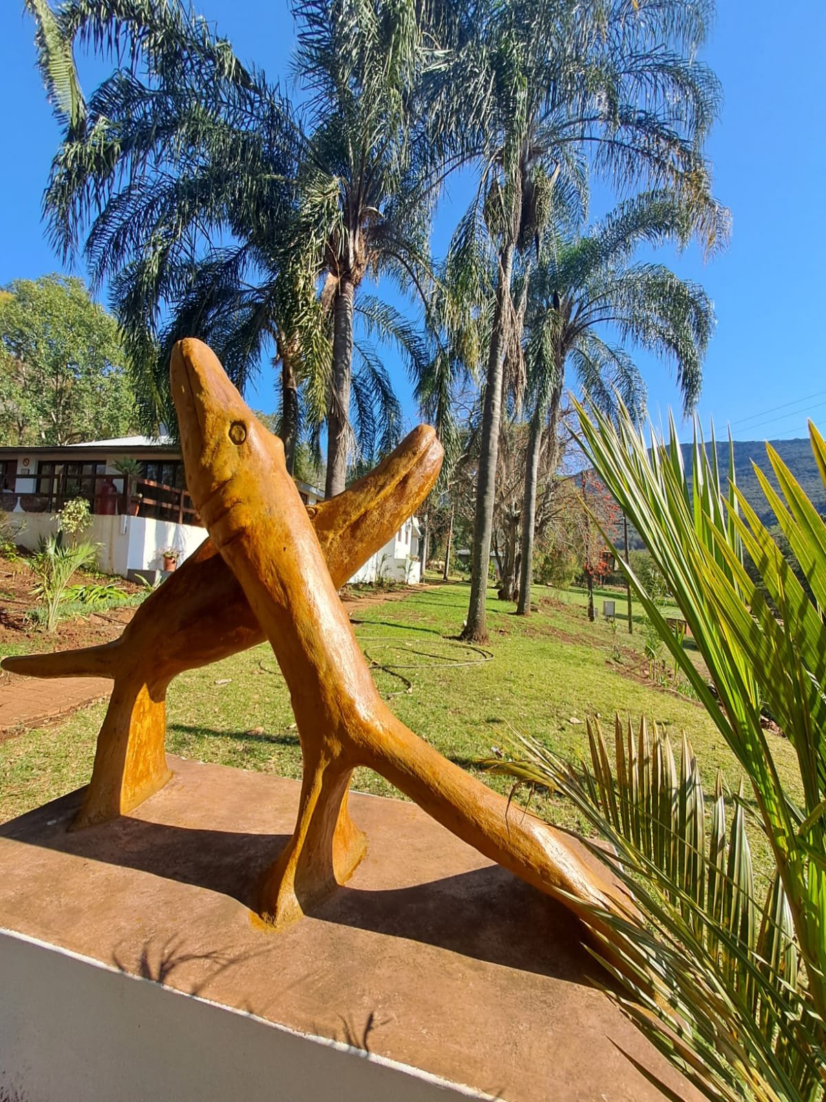 WhatsApp Image 2025-08-15 at 16.51.37 (1)