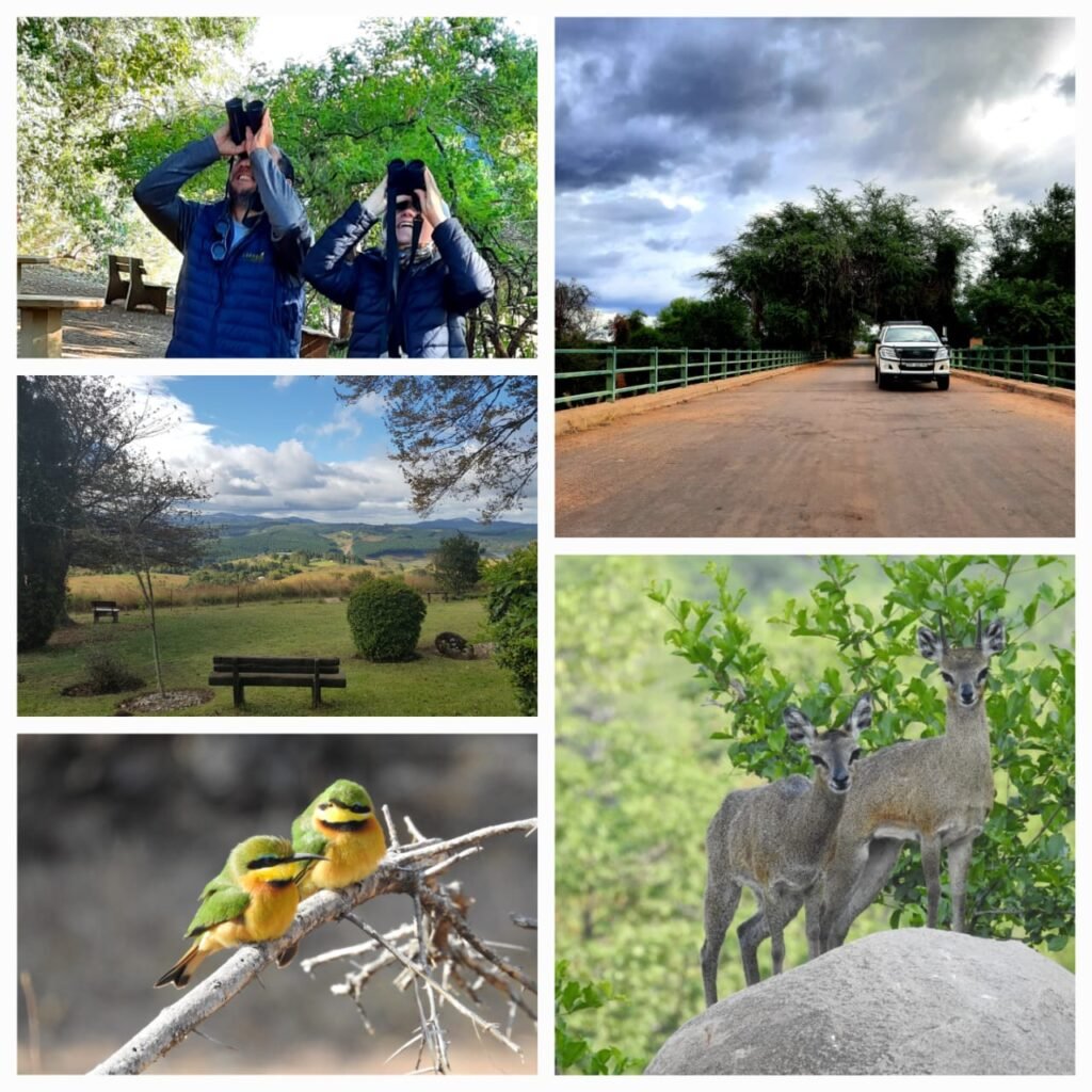 Guided Tours in Limpopo