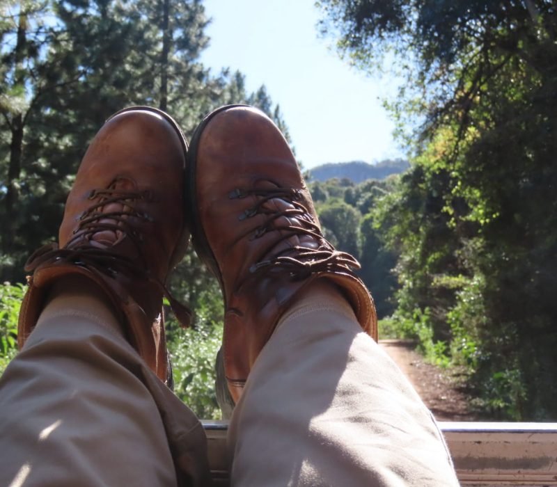 WhatsApp Image 2025-08-13 at 13.28.20