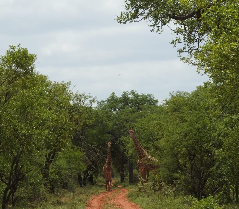 WhatsApp Image 2025-08-13 at 15.06.26