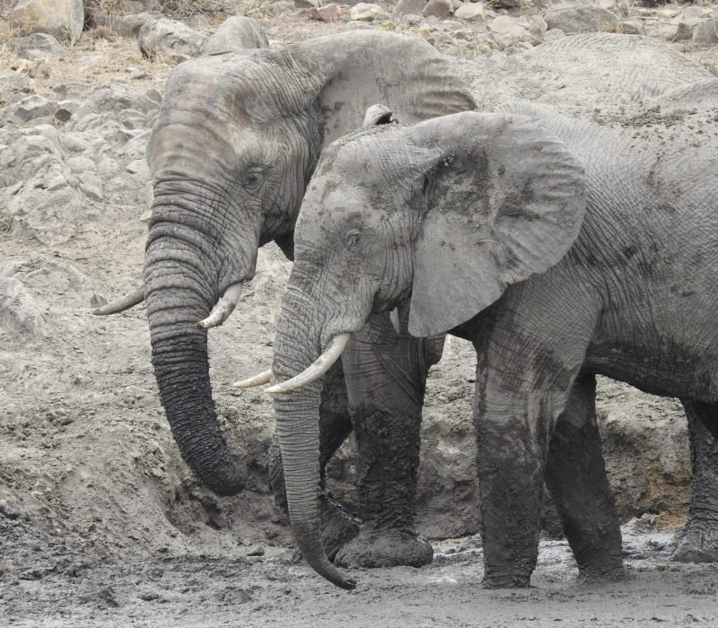 WhatsApp Image 2025-08-14 at 09.00.35